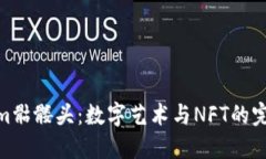 Tokenim骷髅头：数字艺术与NFT的完美结合