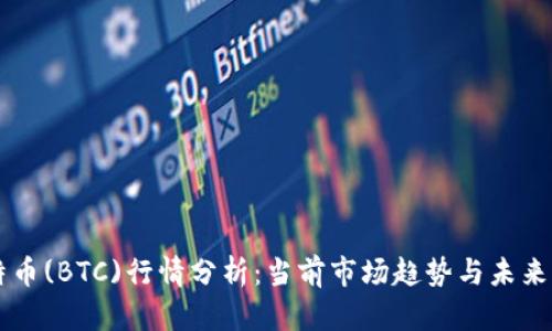 比特币(BTC)行情分析：当前市场趋势与未来展望