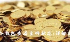 如何通过冷钱包查看主网状态：详解及使用指南