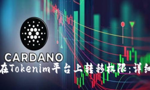 如何在Tokenim平台上转移权限：详细指南