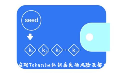 如何应对Tokenim私钥丢失的风险及解决方案