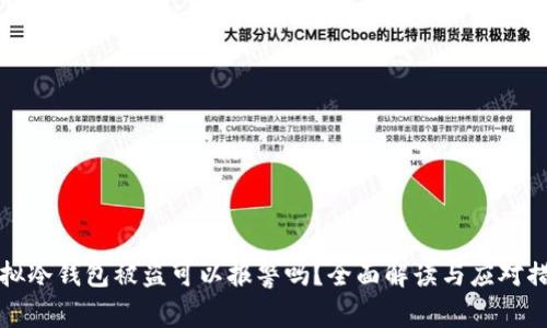 虚拟冷钱包被盗可以报警吗？全面解读与应对措施