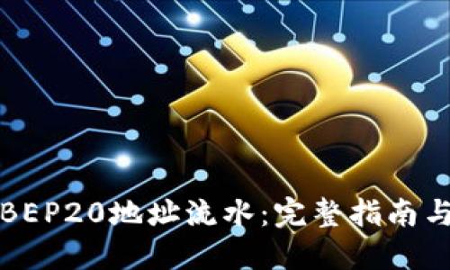 如何查询BEP20地址流水：完整指南与实用技巧