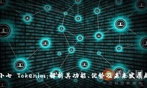 齐小七 Tokenim：解析其功能、优势及未来发展趋势