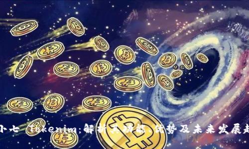 齐小七 Tokenim：解析其功能、优势及未来发展趋势