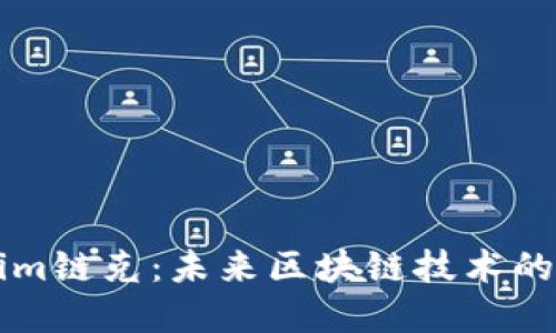 深入了解Tokenim链克：未来区块链技术的发展趋势与应用