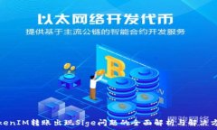   TokenIM转账出现Sige问题的全面解析与解决方案