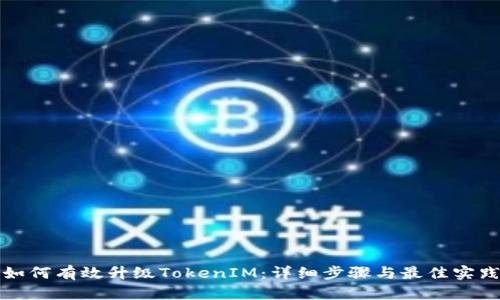 如何有效升级TokenIM：详细步骤与最佳实践