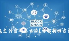 忘记波宝钱包支付密码怎么办？详解找回方法与