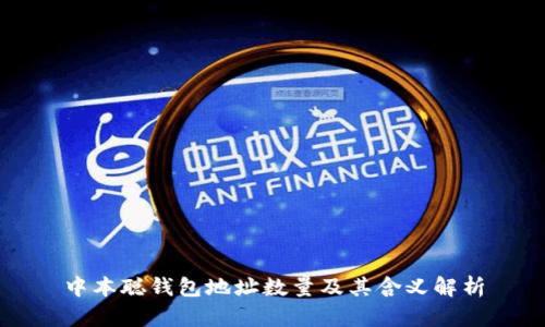 中本聪钱包地址数量及其含义解析