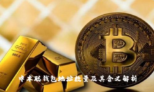 中本聪钱包地址数量及其含义解析