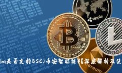 Tokenim是否支持BSC（币安智能链）？深度解析及使