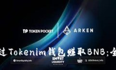 如何通过Tokenim钱包赚取BNB：全面指南