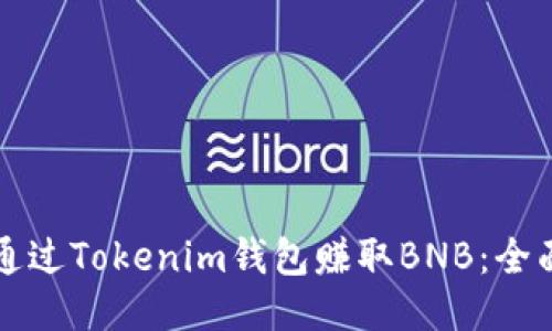 如何通过Tokenim钱包赚取BNB：全面指南
