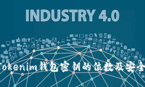 TokenTokenim钱包密钥的位数及安全性详解