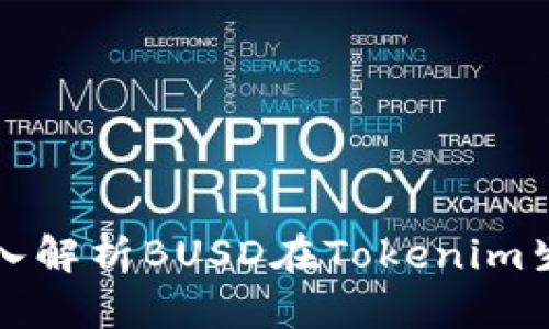 Tokenim BUSD：深入解析BUSD在Tokenim生态中的应用与价值