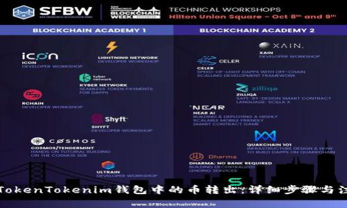 如何将TokenTokenim钱包中的币转出：详细步骤与注意事项