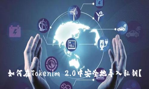 如何在Tokenim 2.0中安全地导入私钥？