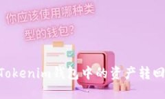 如何将TokenTokenim钱包中的资产转回去的详细指南