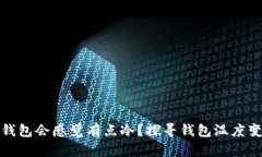: 为什么钱包会感觉有点冷？探寻钱包温度变化的