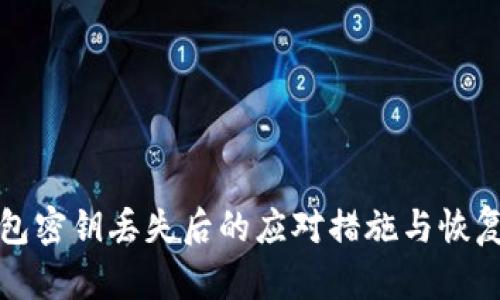 冷钱包密钥丢失后的应对措施与恢复方法