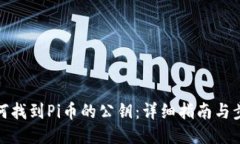 如何找到Pi币的公钥：详细指南与步骤
