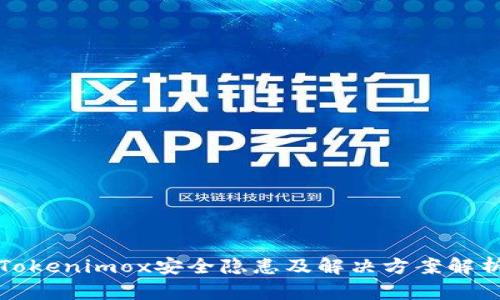 Tokenimox安全隐患及解决方案解析