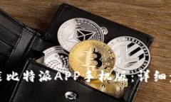 如何在官网下载安装比特派APP手机版：详细步骤