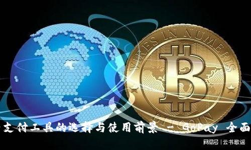 国内支付工具的选择与使用前景 - GoPay 全面解析