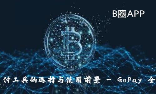 国内支付工具的选择与使用前景 - GoPay 全面解析