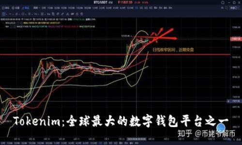 Tokenim：全球最大的数字钱包平台之一