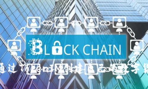 如何通过TokenIM创建自己的数字货币链