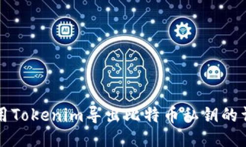 如何使用Tokenim导出比特币私钥的详细指南