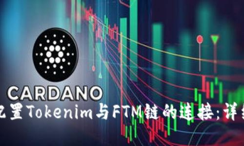 如何配置Tokenim与FTM链的连接：详细指南