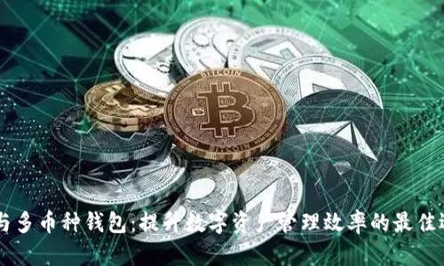 IM与多币种钱包：提升数字资产管理效率的最佳选择
