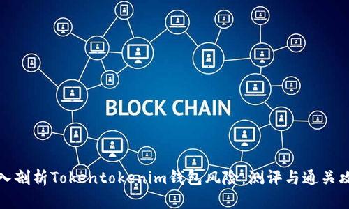 深入剖析Tokentokenim钱包风险：测评与通关攻略