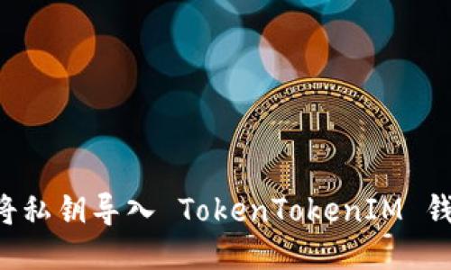 如何安全地将私钥导入 TokenTokenIM 钱包：详细指南