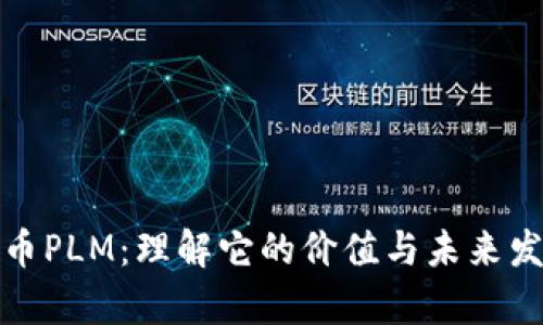 数字货币PLM：理解它的价值与未来发展前景