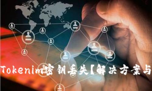 如何应对Tokenim密钥丢失？解决方案与预防措施