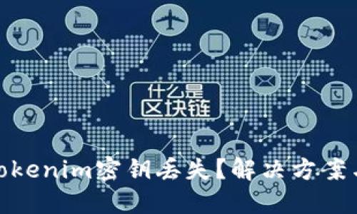 如何应对Tokenim密钥丢失？解决方案与预防措施