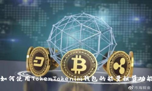 如何使用TokenTokenim钱包的能量租赁功能