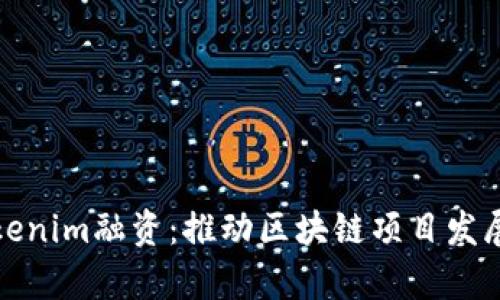 深入解析Tokenim融资：推动区块链项目发展的全新机遇