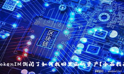 TokenIM倒闭了如何找回里面的资产？全面指南