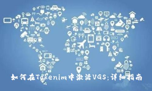 如何在Tokenim中激活VGS：详细指南