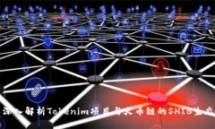 深入解析Tokenim项目与火币链的SHIB生态
