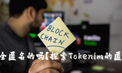 Tokenim是完全匿名的吗？探索Tokenim的匿名性与安全性