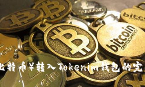 BCC（比特币）转入Tokenim钱包的完整指南