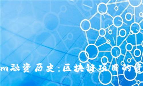 Tokenim融资历史：区块链项目的资金演变