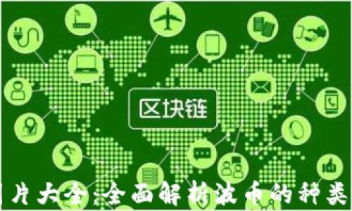 
波币图片大全：全面解析波币的种类与特点