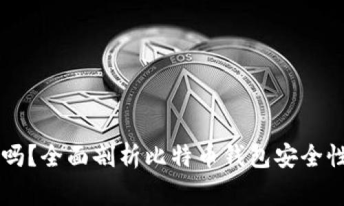 BitPay钱包安全吗？全面剖析比特币钱包安全性及使用注意事项